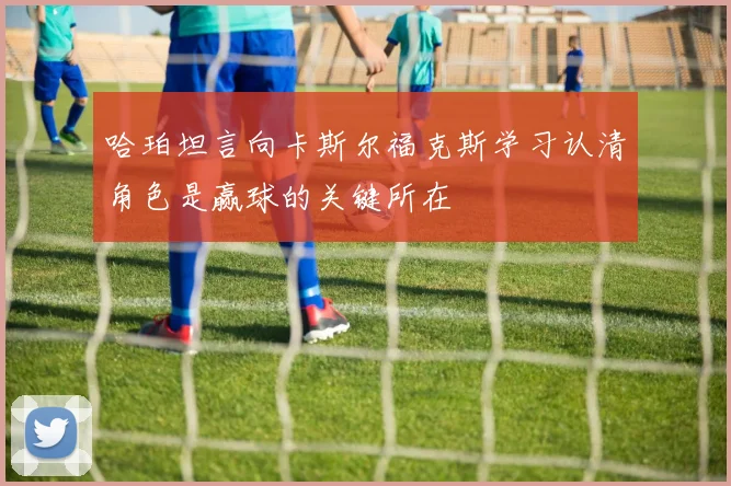 哈珀坦言向卡斯尔福克斯学习认清角色是赢球的关键所在